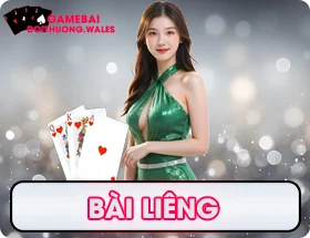Ảnh bài chắn